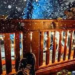 Monika Winter *