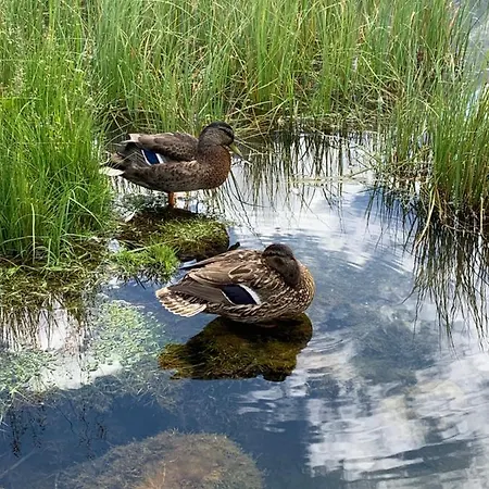 Monika Winter * Kleinarl