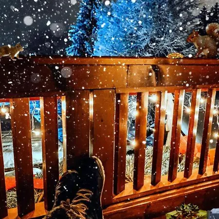 Monika Winter *